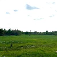  Bán 1000m2 Tân Tiến Gần Biển Giá Ngộp