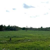  Bán 1000m2 Tân Tiến Gần Biển Giá Ngộp