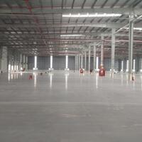 Cho Thuê Nhà Xưởng KCN Yên Phong 2C – Diện Tích 2700m2, Tiêu Chuẩn Quốc Tế, Nhiều Ưu Đãi