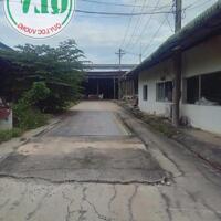 Cho thuê nhà xưởng 11.500 m2 Long Nguyên, Bàu Bàng, Bình Dương