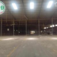 Cho thuê nhà xưởng 11.500 m2 Long Nguyên, Bàu Bàng, Bình Dương
