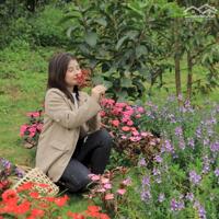 Aman Blao - Cơ hội đầu tư bất động sản nghỉ dưỡng đầy tiềm năng, mà giá chỉ từ 1,9tr/m2