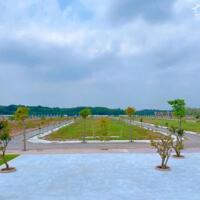 Chỉ với 0% lãi suất sở hữu ngay lô đất nền đối diện KCN 1000ha tại Alana City chỉ 980TR!