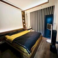 Nhà Đẹp Gần Đường Ô Tô Hồng Mai, Hai Bà Trưng 40m, 5 tầng, mt 3.3m, giá 12.3 tỷ.