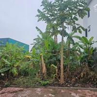 Cần bán đất khu phía Tây cầu Phú Lương, Phường Nhị Châu, TP Hải Dương.