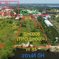 8000m2 đất mặt tiền tỉnh lộ 824, xã Lương Bình ,Bến Lức có 4000m2 thổ giá 50 tỷ