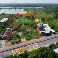 8000m2 đất mặt tiền tỉnh lộ 824, xã Lương Bình ,Bến Lức có 4000m2 thổ giá 50 tỷ