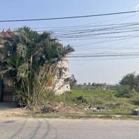 Siêu phẩm lô biệt thự mặt đường Bàng La, Đồ Sơn, Hải Phòng 300m