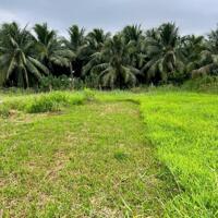 bán nền 243m2 , full thổ gần quốc lô 57b , xã giao hòa , châu thành , bến tre