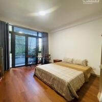 Bán nhà hẻm suýt 4m Nguyễn Trãi, Bến Thành, Q1, 56m2, 5 tầng, thu nhập 60tr/tháng
