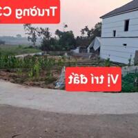 Cực hiếm tại lam sơn- tam nông- phú thọ chỉ hơn 500