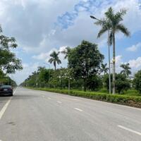 Chuyển nhượng 6000m2, 8000m2, 1,5ha đất trong Khu công nghiệp Yên Phong, Bắc Ninh