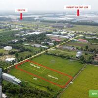 1054m2 đất mặt tiền ấp 10, Lương Hòa, Bến Lức, Long An có 300m2 thổ giá 8,5 tỷ