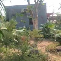 Nhà vườn sinh thái ôm suối thơ mộng ở huyện Châu Đức, BRVT tổng dt 1,5ha có 100m2 thổ giá 19 tỷ