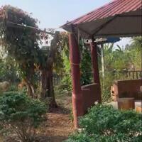 Nhà vườn sinh thái ôm suối thơ mộng ở huyện Châu Đức, BRVT tổng dt 1,5ha có 100m2 thổ giá 19 tỷ