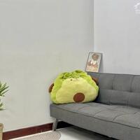  Lên căn STUDIO cửa sổ trời giá tốt ngay tại Tân Bình