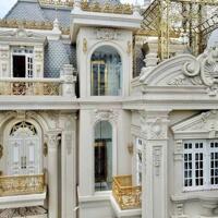 GIÁ CHỐT GIẢM SÂU DINH THỰ DÁT VÀNG ĐƯỜNG NGUYỄN ĐÌNH CHIỂU Q1 CẦN BÁN