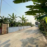 Bán lô đất đường 5m Tân Vũ 2, Tràng Cát 240m2 giá 2xtr/m2