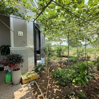 BÁN CĂN GÓC NHÀ PHỐ PHÚ MỸ HƯNG AMELIE 4 TẦNG, 281M2, GIÁ TỐT-PHÚ XUÂN, NHÀ BÈ
