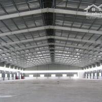 Cho thuê kho,xưởng mới xây dựng tại Văn Lâm, Hưng Yên. DT 500M2 dến 100.000m2