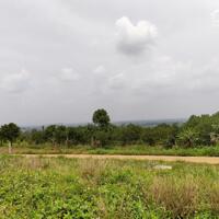 ĐẤT TÂN HÀ - VIEW 360 ĐỘ - GIÁ NGỘP