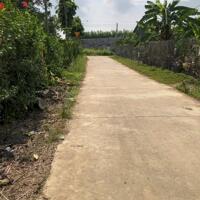 ĐẤT VƯỜN THỐNG NHẤT - CHỦ NGỘP BÁN GẤP GIÁ CỰC SỐC CHỈ 900 triệu/sào