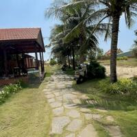 9000M2 BỜ BIỂN BÌNH CHÂU , XUYÊN MỘC ,LÔ GÓC 112M MT QH ĐẤT Ở ĐÔ THỊ