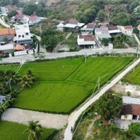 Bán đất phường Ninh Giang, Ninh Hoà full thổ 525m2 ngang 24m