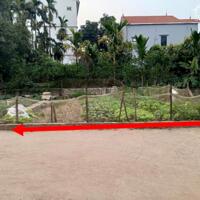 đầu tư hết ý ! nhỉnh 1.7xtỷ, OTO ĐỖ, VUÔNG, 50M XE BÚYT, BÁN ĐẤT KIM THƯ0977690119 (em Sinh)