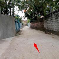 đầu tư hết ý ! nhỉnh 1.7xtỷ, OTO ĐỖ, VUÔNG, 50M XE BÚYT, BÁN ĐẤT KIM THƯ0977690119 (em Sinh)