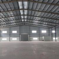 Bán nhà xưởng 20.000 m² trong KCN Long Giang, Tân Phước, Tiền Giang
