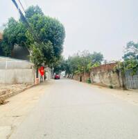 Bán đất trục chính Làng Bầu, Liên Bảo, Vĩnh Yên.  Diện tích: 92,6m2 , giá: 2,8x tỷ