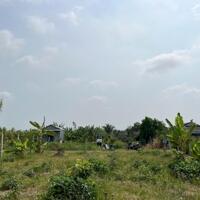 B.á.n 2 công đất thổ vườn gần TT Tân Hòa, Gò Công Đông, Tiền Giang.