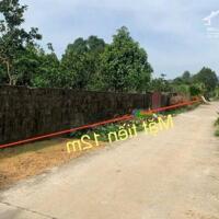 ĐẤT ĐẸP - GIÁ TỐT - Vị trí đắc địa tại xã Phú Thành, Lạc Thuỷ, Hoà Bình; 1,4tỷ, 0384899968