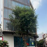 Cho thuê hoặc bán gấp BUILDING 2 MT Cửu Long  P.2  Quận Tân Bình