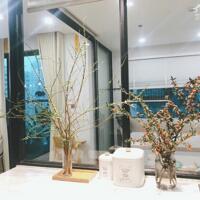 Bán căn 2 ngủ tại Imperia Garden, SHLD, full đồ cao cấp nhỉnh 6 tỷ