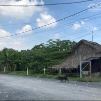Bán đất đẹp tại Long Phước, 75 tỷ, 1000m2 nhiều tiện ích Hot!