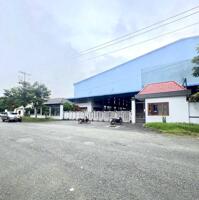 2 mặt tiền NỞ HẬU view suối sát chợ TÂN HƯNG 195 TRIỆU 1 LÔ DUY NHẤT