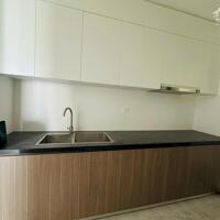 Bán căn hộ 2pn tại FPT Plaza2 giá tốt nhất thị trường chỉ 2ty250