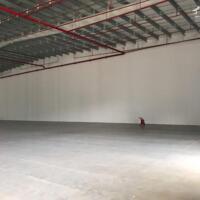 Cho thuê xưởng 22.000m2 trong KCN Đồng Nai