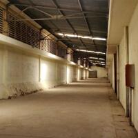 *Cho thuê kho xưởng*1280m2 Nguyễn Xiển, Long Bình, Quận 9