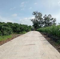 7 sào Bảo Lộc view đẹp, có ao. nguyên quả đồi bát úp