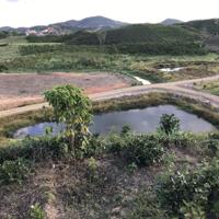 7 sào Bảo Lộc view đẹp, có ao. nguyên quả đồi bát úp