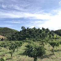 7 sào Bảo Lộc view đẹp, có ao. nguyên quả đồi bát úp