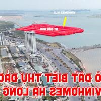 Bán nhanh ô đất biệt thự Đảo Hoa 300m2 khu đồn điền Hà Khẩu giáp Vinhomes Hạ Long Xanh