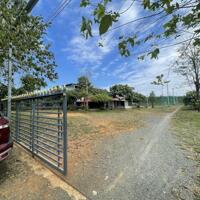 Bán lô gốc MT (1.200m2) full SHR, giá 450 triệu sát KCN, trường chợ, trung tâm sầm uất nhất