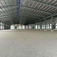 Cho thuê kho xưởng Phú Giáo, Bình Dương.
