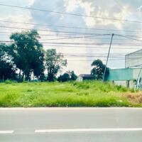CẦN SANG LẠI LÔ ĐẤT 35X50=1750M2 ĐẤT THỔ CƯ SHR MT ĐƯỜNG LỚN CẠNH CHỢ DÂN ĐÔNG GIÁ 460 TR