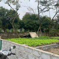   ĐẤT  XÂM XUYÊN- HỒNG VÂN-THƯỜNG TÍN –ĐẸP LONG LANH