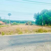 KẸT TIỀN BÁN GẤP LÔ ĐẤT 35X50=1750M2 ĐẤT THỔ CƯ SHR MT ĐƯỜNG LỚN CẠNH CHỢ DÂN ĐÔNG GIÁ 460 TR